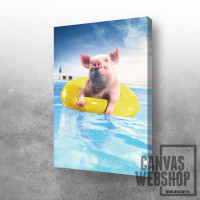 Pig in a pool