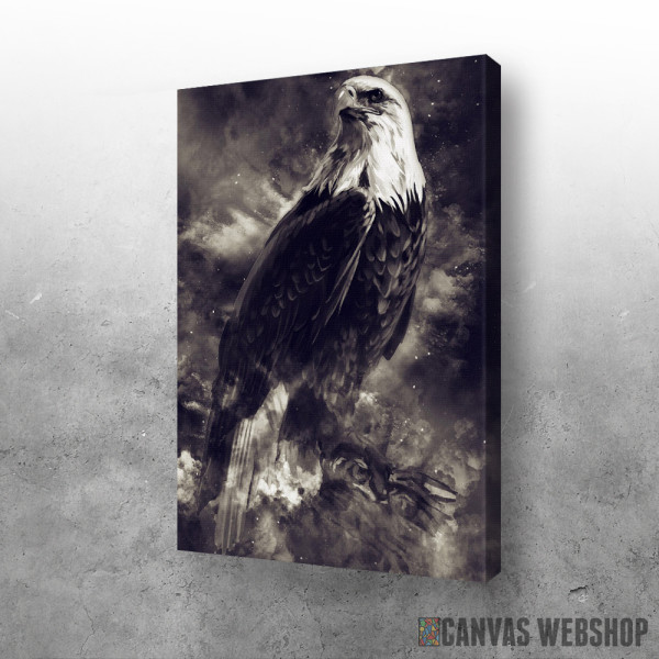 Slika Eagle in darkness