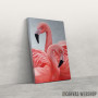 Slika Flamingos love