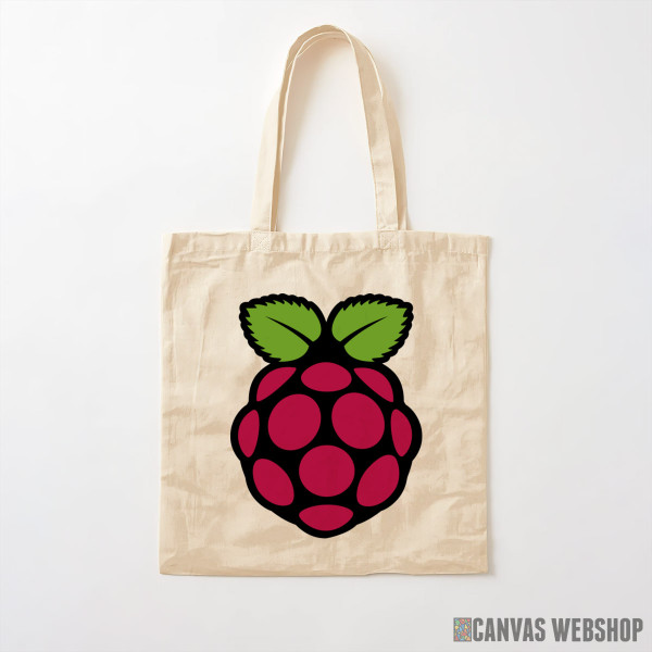 Ceger Raspberry Pi logo