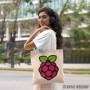 Ceger Raspberry Pi logo
