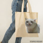 Ceger Crying Cat Meme Ceger Crying Cat Meme