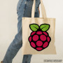 Ceger Raspberry Pi logo