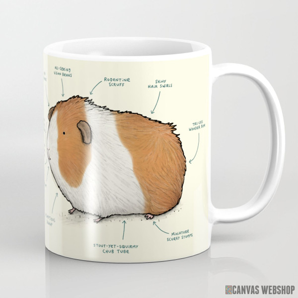 Šolja Anatomija praseta