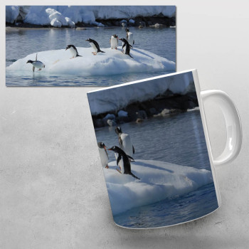 Šolja Pingvini na ledu