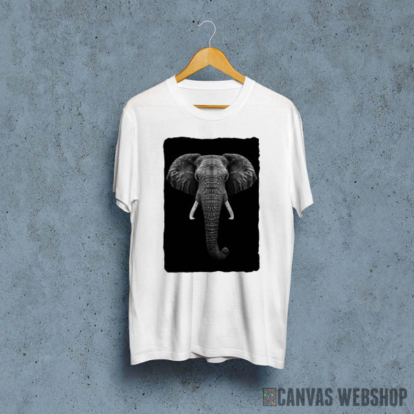 Elephant head with horns