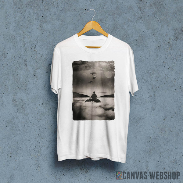 Flying or Swimming Flying or Swimming