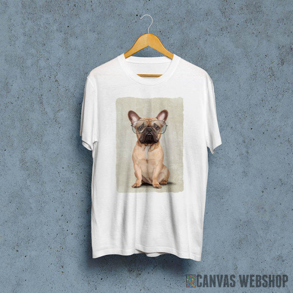 Mr French Bulldog Mr French Bulldog