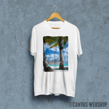 Palm Beach With Hammock