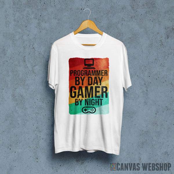 Programmer and Gamer