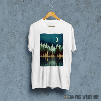 Star Forest Reflection