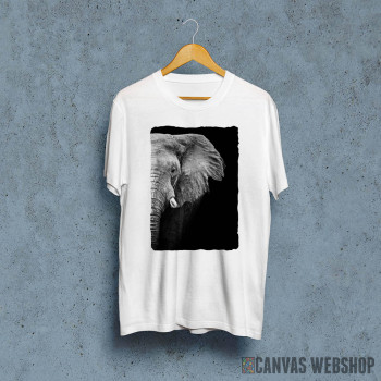 Wild Elephant head
