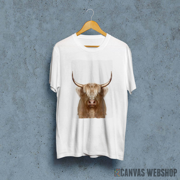 white wild Buffalo