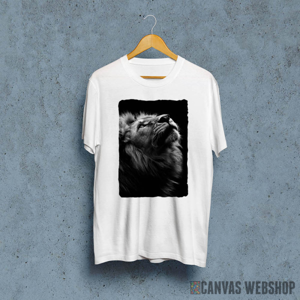wild lion face 2 wild lion face 2