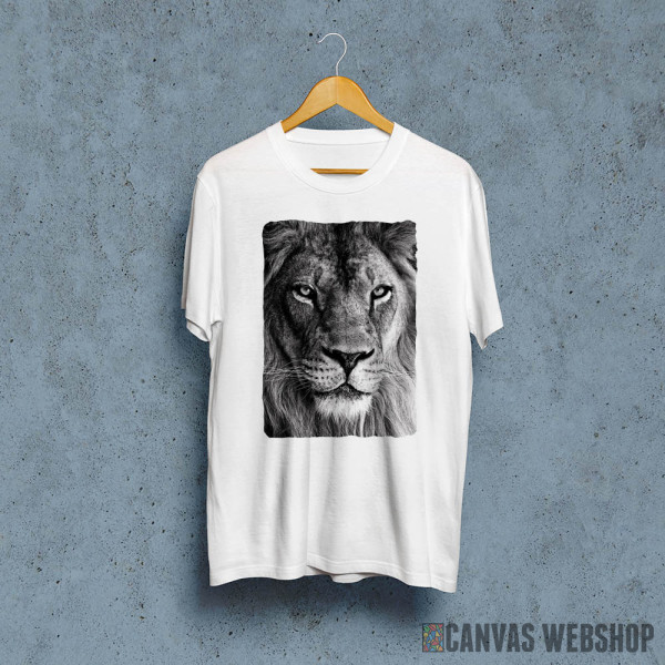 wild lion face wild lion face