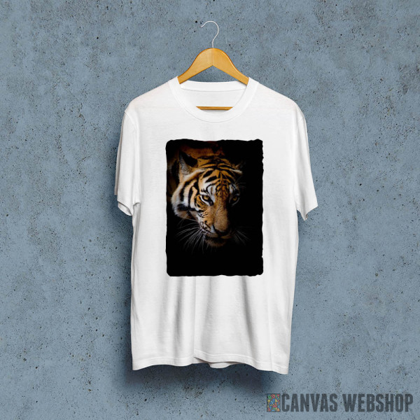 wild tiger face wild tiger face