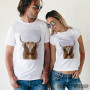 white wild Buffalo