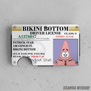 Novčanik Patrick Zvezda vozačka dozvola