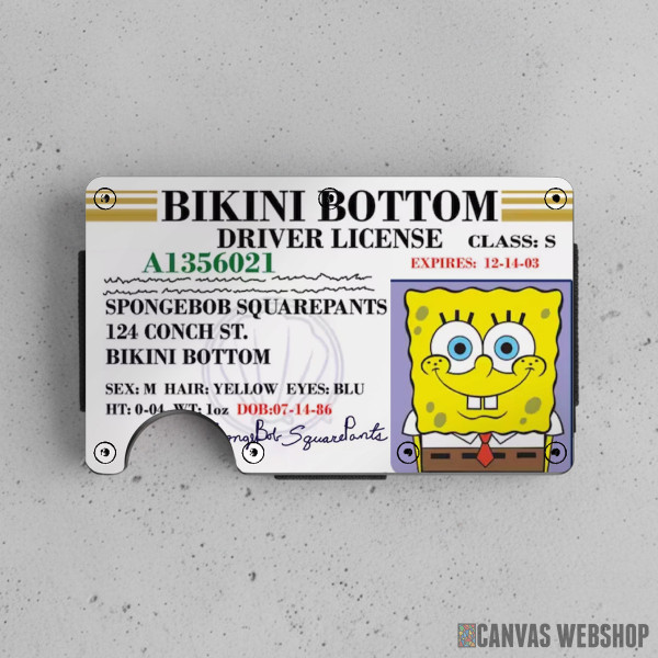 Novčanik Sundjer bob lična karta