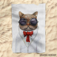 Peškir Astro Cat