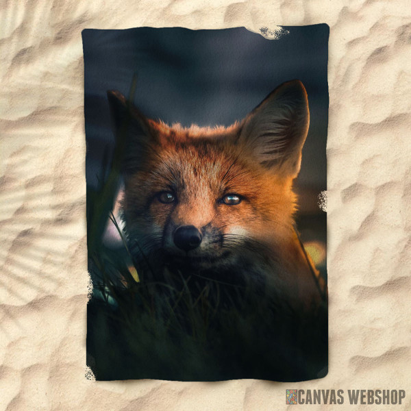 Peškir Fox in the wood