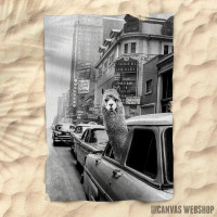 Peškir Lama u taksiju