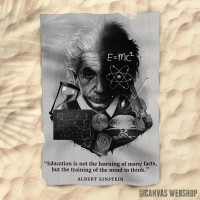 Peškir Palace Learning Albert Ein