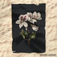 Peškir Vintage illustration of flowers 2