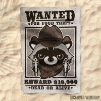 Peškir wanted racoon for food theft Peškir wanted racoon for food theft