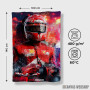 Peškir Michael Schumacher F1