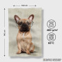 Peškir Mr French Bulldog
