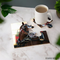 Podmetač Budvajzer Clydesdale konji
