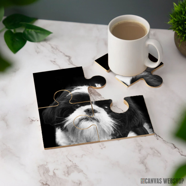 Podmetač Shih Tzu pas