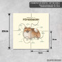 Podmetač Anatomija pomeranskog Podmetač Anatomija pomeranskog