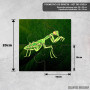Podmetač Prizemna mantis