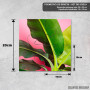 Podmetač Roze bananina palma Podmetač Roze bananina palma