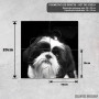 Podmetač Shih Tzu pas