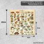Podmetač Vintage mapa gljiva Adolfa Milota Podmetač Vintage mapa gljiva Adolfa Milota