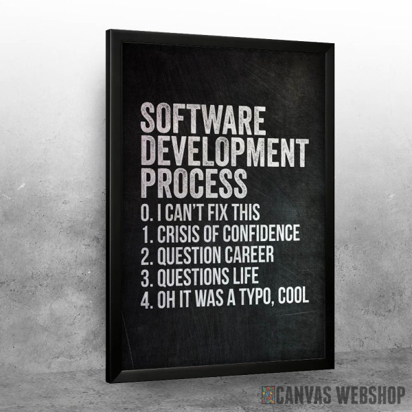 Software Development - uramljen poster