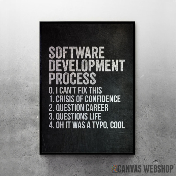 Software Development - uramljen poster