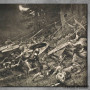 Furor Teutonicus, Paja Jovanović