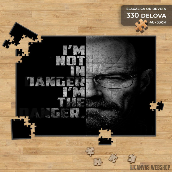 Slagalica I´m not in danger, I´m the danger