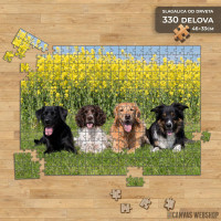 Slagalica Psi uživaju u travi