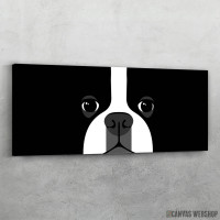 Slika Bostonski terijer