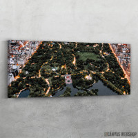 Slika Central park new york