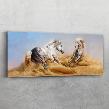 Divlji pustinjski konji