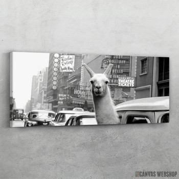 Slika Lama cita u taksiju