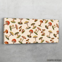 Slika Magicne pecurke