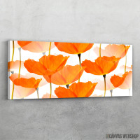 Slika Narandzasti mak