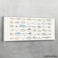 Slika Spavajuce zivotinje